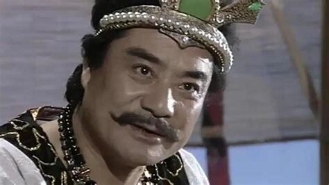 能文能武 长相十分英俊